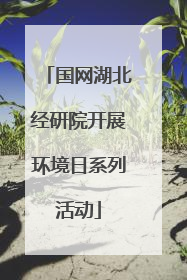 国网湖北经研院开展环境日系列活动