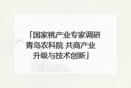 国家桃产业专家调研青岛农科院 共商产业升级与技术创新