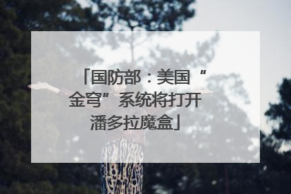 国防部：美国“金穹”系统将打开潘多拉魔盒