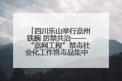 四川乐山举行嘉州铁腕 厉禁共治——“嘉网工程”禁毒社会化工作暨毒品集中销毁启动仪式