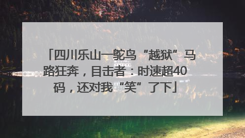 四川乐山一鸵鸟“越狱”马路狂奔，目击者：时速超40码，还对我“笑”了下