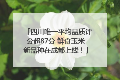 四川唯一平均品质评分超87分 鲜食玉米新品种在成都上线！