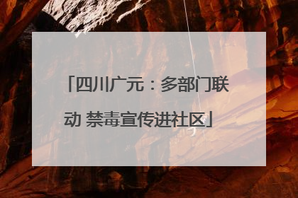 四川广元：多部门联动 禁毒宣传进社区