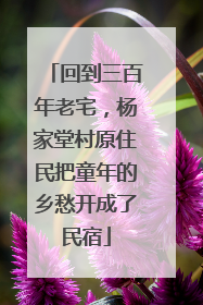 回到三百年老宅，杨家堂村原住民把童年的乡愁开成了民宿