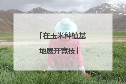 在玉米种植基地展开竞技