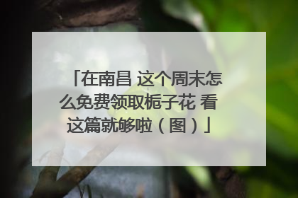 在南昌 这个周末怎么免费领取栀子花 看这篇就够啦（图）