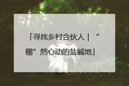 寻找乡村合伙人｜“棚”然心动的盐碱地