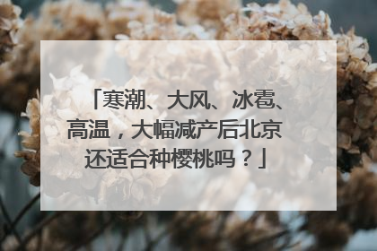 寒潮、大风、冰雹、高温，大幅减产后北京还适合种樱桃吗？