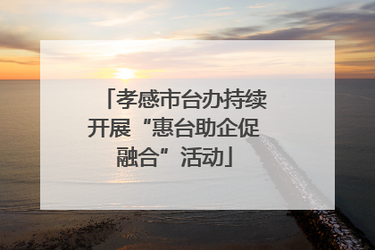 孝感市台办持续开展“惠台助企促融合”活动