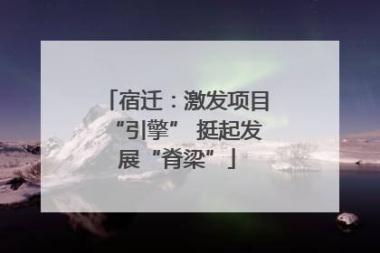 宿迁：激发项目“引擎” 挺起发展“脊梁”