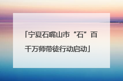 宁夏石嘴山市“石”百千万师带徒行动启动