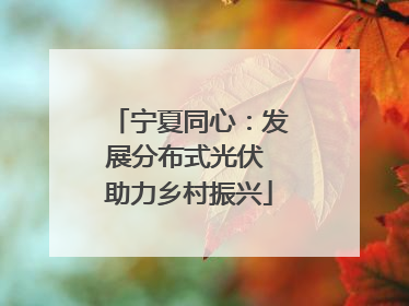 宁夏同心：发展分布式光伏 助力乡村振兴