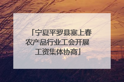宁夏平罗县塞上春农产品行业工会开展工资集体协商
