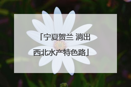 宁夏贺兰 淌出西北水产特色路