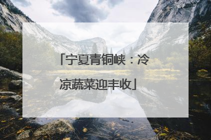 宁夏青铜峡：冷凉蔬菜迎丰收