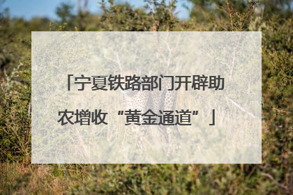 宁夏铁路部门开辟助农增收“黄金通道”