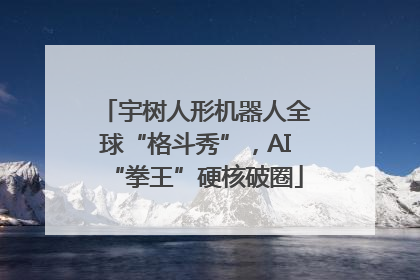 宇树人形机器人全球“格斗秀”，AI“拳王”硬核破圈
