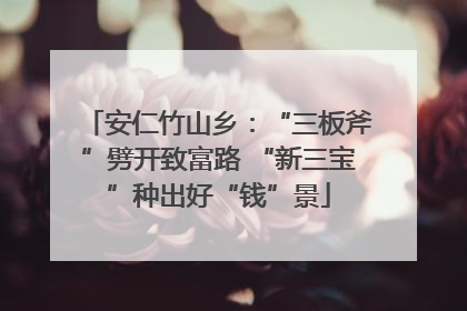 安仁竹山乡：“三板斧”劈开致富路 “新三宝”种出好“钱”景