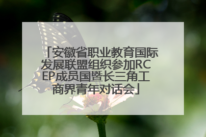安徽省职业教育国际发展联盟组织参加RCEP成员国暨长三角工商界青年对话会