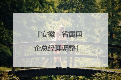 安徽一省属国企总经理调整