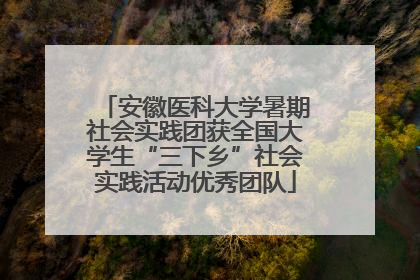 安徽医科大学暑期社会实践团获全国大学生“三下乡”社会实践活动优秀团队