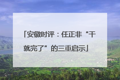 安徽时评：任正非“干就完了”的三重启示