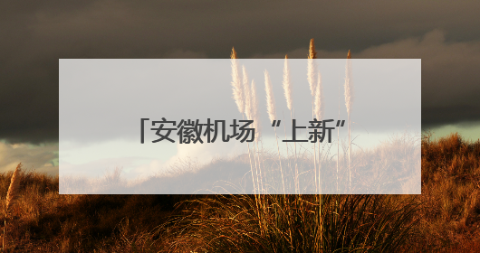 安徽机场“上新”！预计本月试飞