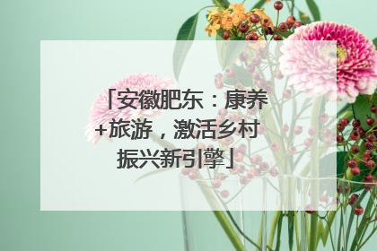 安徽肥东：康养+旅游，激活乡村振兴新引擎