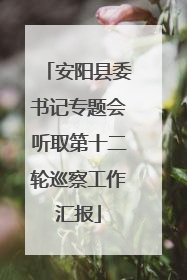 安阳县委书记专题会听取第十二轮巡察工作汇报