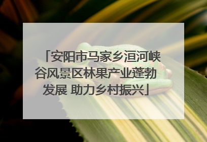 安阳市马家乡洹河峡谷风景区林果产业蓬勃发展 助力乡村振兴