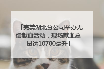 完美湖北分公司举办无偿献血活动，现场献血总量达10700毫升
