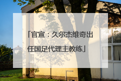 官宣：久尔杰维奇出任国足代理主教练