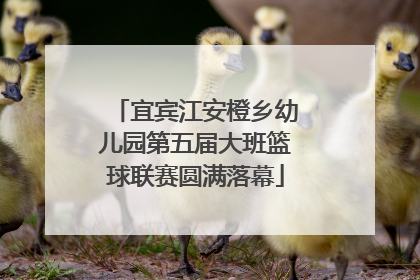 宜宾江安橙乡幼儿园第五届大班篮球联赛圆满落幕