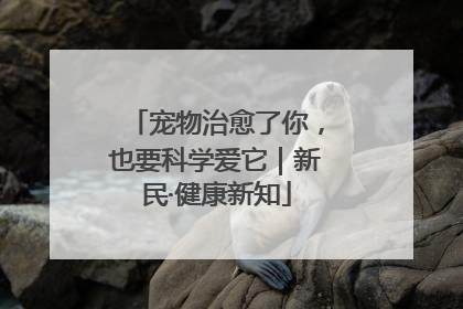 宠物治愈了你，也要科学爱它｜新民·健康新知