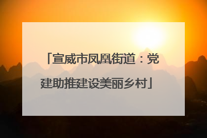 宣威市凤凰街道：党建助推建设美丽乡村