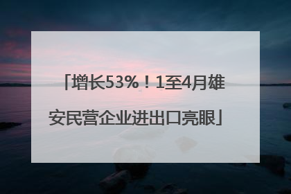 增长53%！1至4月雄安民营企业进出口亮眼