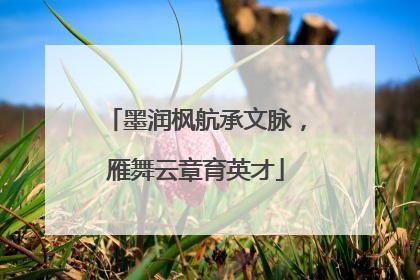 墨润枫航承文脉，雁舞云章育英才