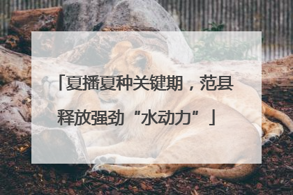 夏播夏种关键期，范县释放强劲“水动力”