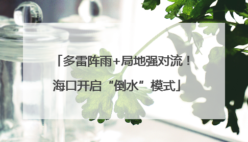 多雷阵雨+局地强对流！海口开启“倒水”模式