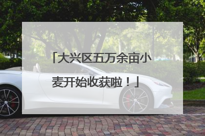 大兴区五万余亩小麦开始收获啦！