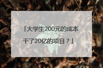大学生200元的成本干了20亿的项目？