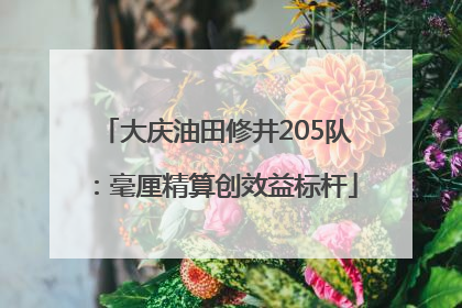 大庆油田修井205队：毫厘精算创效益标杆