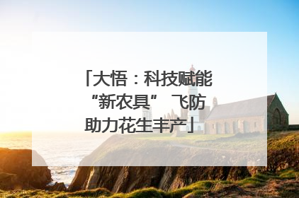 大悟：科技赋能“新农具” 飞防助力花生丰产