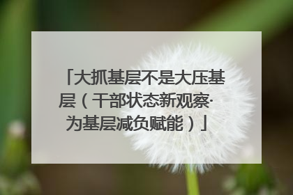 大抓基层不是大压基层（干部状态新观察·为基层减负赋能）