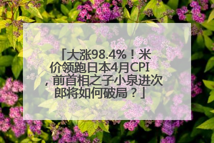 大涨98.4%！米价领跑日本4月CPI，前首相之子小泉进次郎将如何破局？