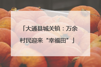 大通县城关镇：万余村民迎来“幸福田”