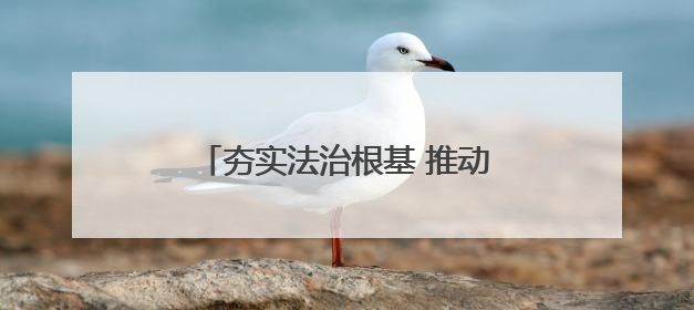 夯实法治根基 推动河南能源高质量发展