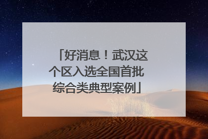 好消息！武汉这个区入选全国首批综合类典型案例
