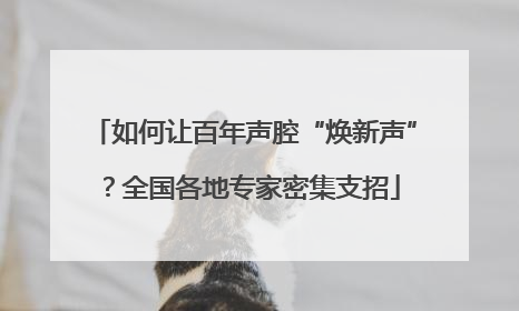 如何让百年声腔“焕新声”？全国各地专家密集支招