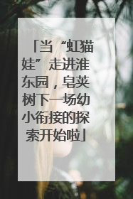 当“虹猫娃”走进淮东园，皂荚树下一场幼小衔接的探索开始啦